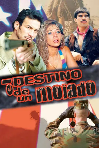El destino de un mojado movie poster - Entertainment content