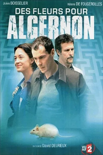 Des fleurs pour Algernon movie poster - Rated 7.1/10