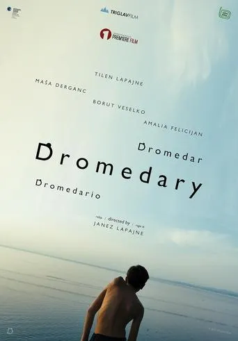 Dromedary movie poster - Entertainment content