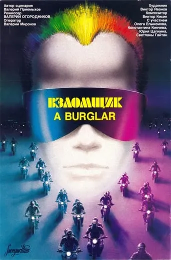 The Burglar movie poster - Rated 4.6/10