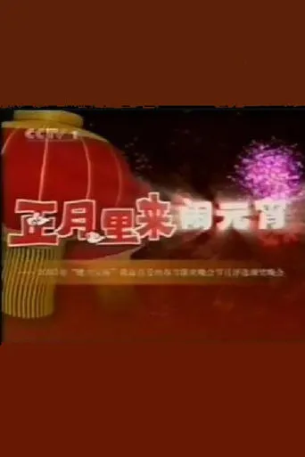 2003年中央电视台元宵晚会 movie poster - Entertainment content