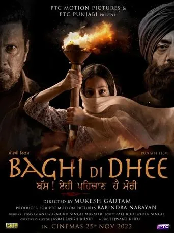 Baghi Di Dhee movie poster - Entertainment content