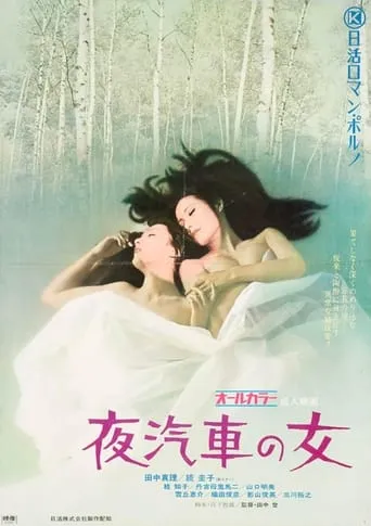 Woman on the Night Train movie poster - Rated 5.8/10