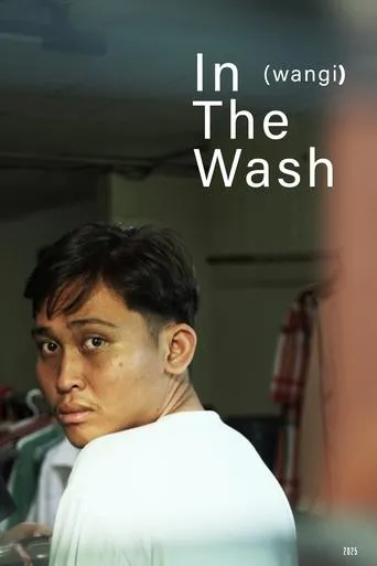 In The Wash movie poster - Entertainment content