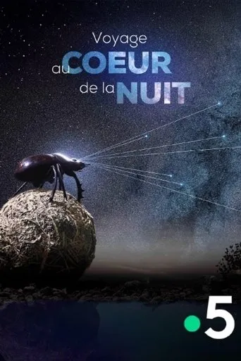 Voyage Au Coeur De La Nuit movie poster - Entertainment content