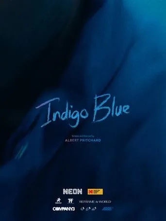 Indigo Blue movie poster - Entertainment content