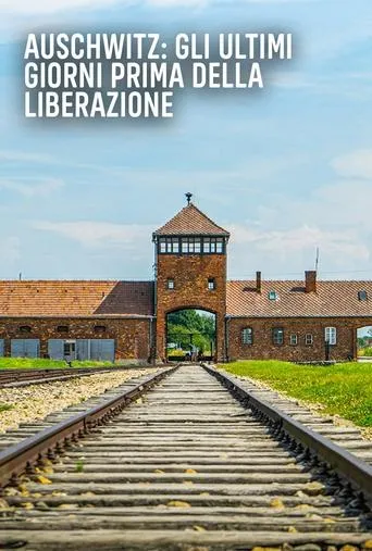Auschwitz: Countdown to Liberation movie poster - Rated 7/10