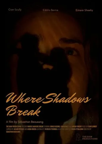 Where Shadows Break movie poster - Entertainment content