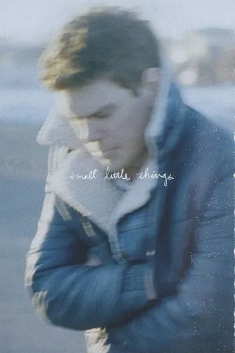 Small Little Things movie poster - Entertainment content
