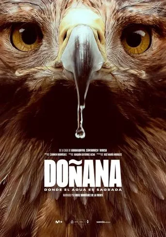 Doñana movie poster - Entertainment content