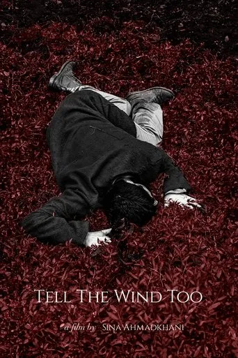 Tell the Wind Too movie poster - Entertainment content