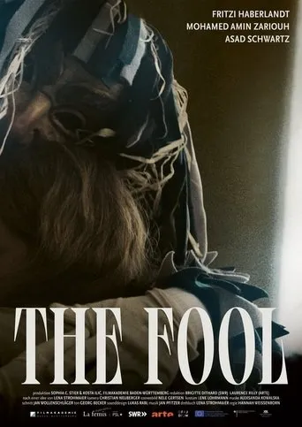 The Fool movie poster - Rated 6/10