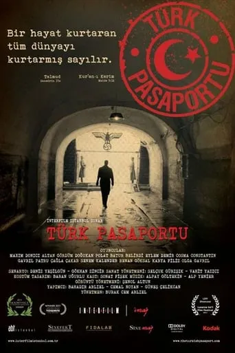 Turkish Passport movie poster - Rated 7.2/10