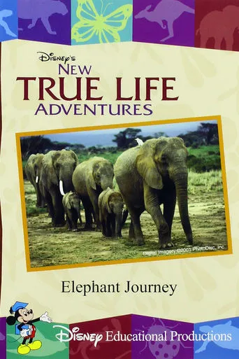 Elephant Journey movie poster - Entertainment content
