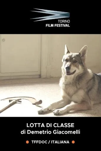 Lotta di Classe - Il cinema dei ragazzi di Emilio Sidoti movie poster - Entertainment content