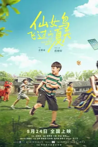 仙女鸟飞过的夏天 movie poster - Rated 10/10