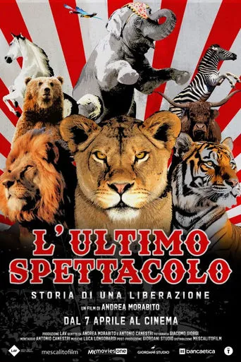 L’ultimo spettacolo movie poster - Entertainment content