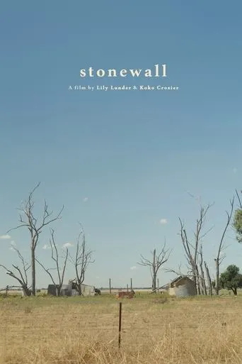 stonewall movie poster - Entertainment content