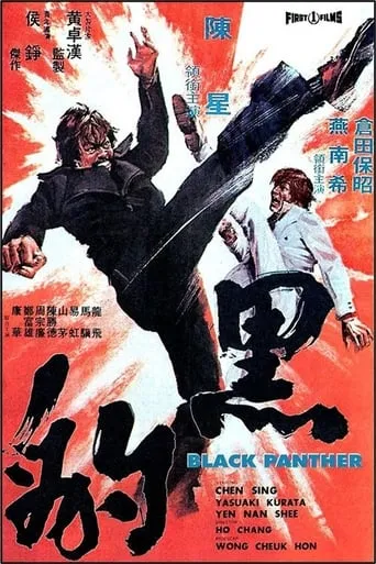 Black Panther movie poster - Rated 4/10