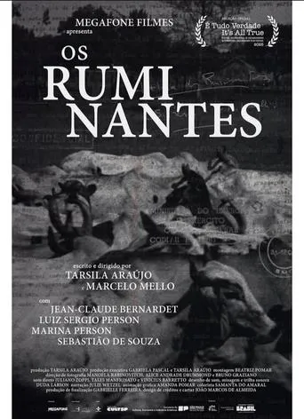 Os Ruminantes movie poster - Entertainment content