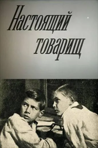 A True Comrade movie poster - Entertainment content