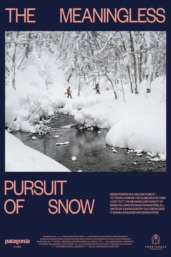 The Meaningless Pursuit of Snow movie poster - Entertainment content