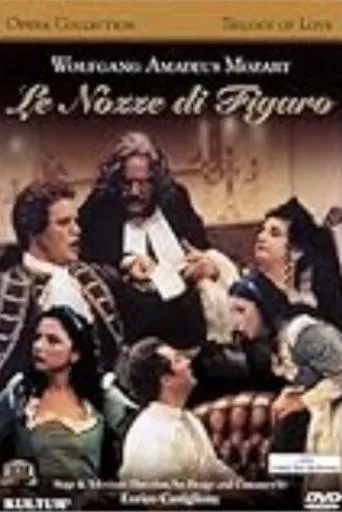 The Weddings of Figaro movie poster - Entertainment content