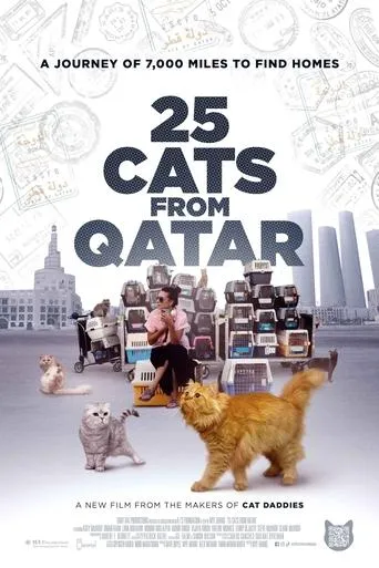 25 Cats from Qatar movie poster - Entertainment content