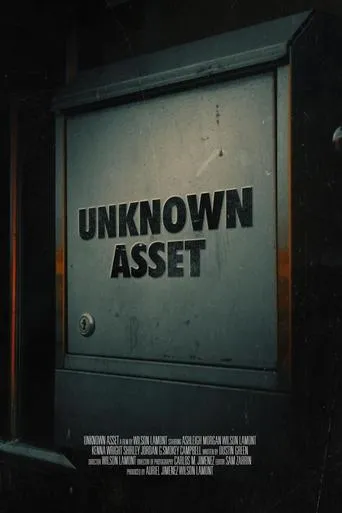 Unknown Asset movie poster - Entertainment content