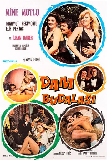 Dam Budalası movie poster - Entertainment content