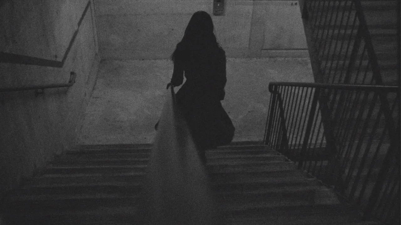 Backward Glance