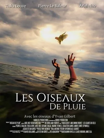 Les Oiseaux de pluie movie poster - Entertainment content