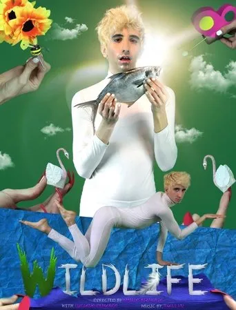 Wildlife movie poster - Entertainment content