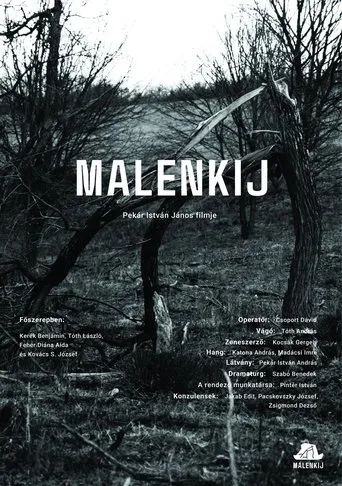 Malenkij movie poster - Entertainment content