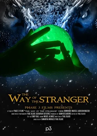 The Way of the Stranger movie poster - Entertainment content