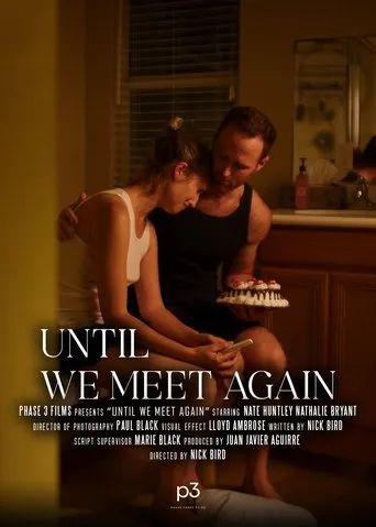 Until We Meet Again movie poster - Entertainment content