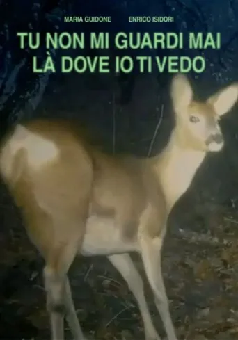 TU NON GUARDI MAI LÀ DOVE IO TI VEDO movie poster - Entertainment content