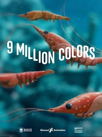 9 Million Colors movie poster - Entertainment content