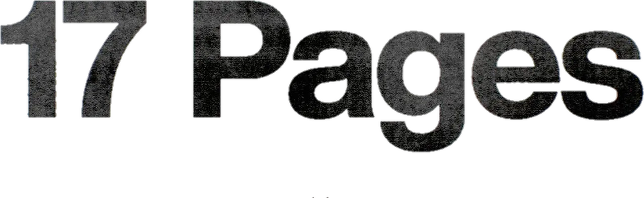 17 Pages