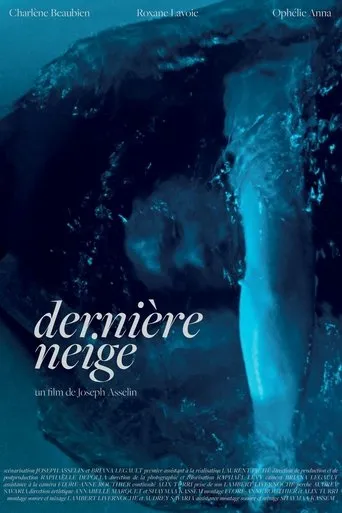 Dernière neige movie poster - Entertainment content