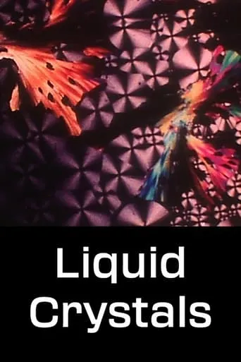 Liquid Crystals movie poster - Rated 7/10