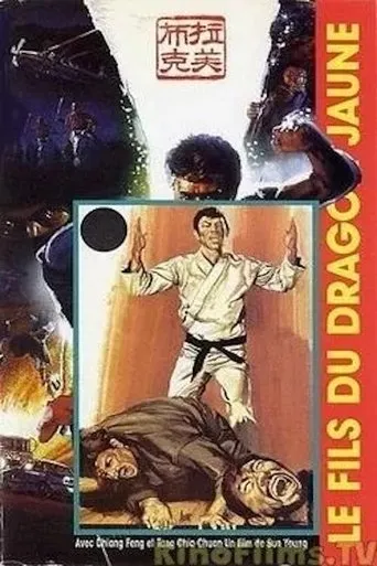 Son of the Yellow Dragon movie poster - Entertainment content