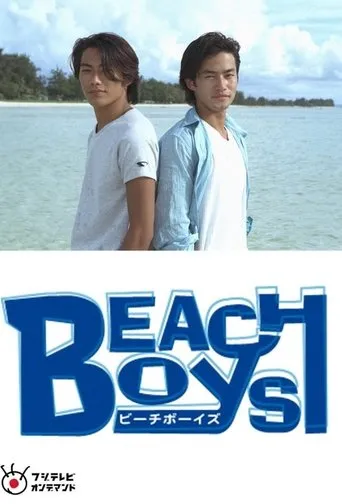 Beach Boys Special movie poster - Entertainment content