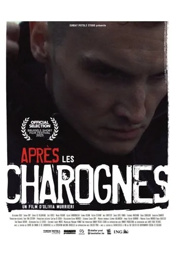 Après les charognes movie poster - Entertainment content
