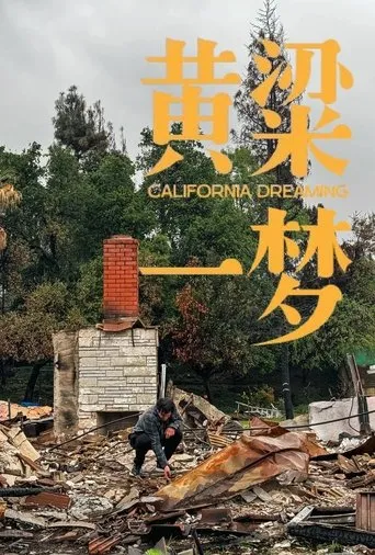 美洲大宝荐：黄粱一梦 movie poster - Rated 9/10