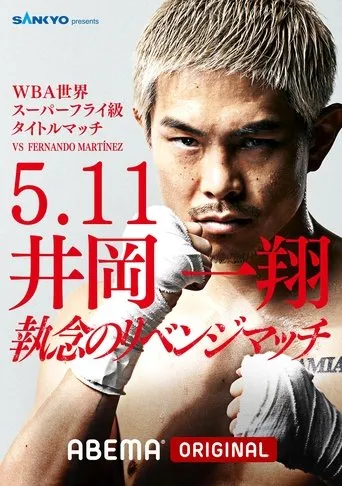 LIFETIME BOXING FIGHTS 27 movie poster - Entertainment content
