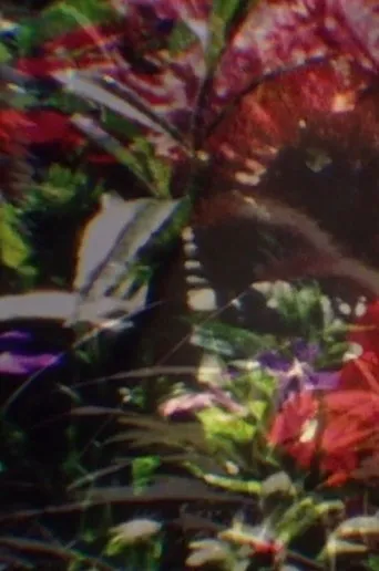Return to Nature! The True Natural Method of Healing and Living and the True Salvation of the Soul: Paradise Regained—The Core of the Body—Water, Human Curative Power, Light, Air, Earth, Food, Fruit Culture movie poster - Entertainment content