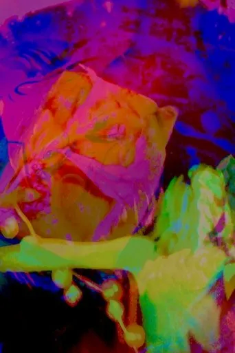 Hannah's Psycho-delic Adventure movie poster - Entertainment content