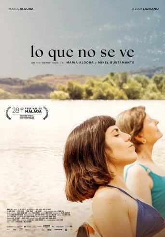Lo que no se ve movie poster - Entertainment content