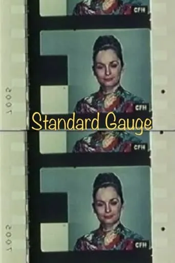 Standard Gauge movie poster - Rated 6.3/10